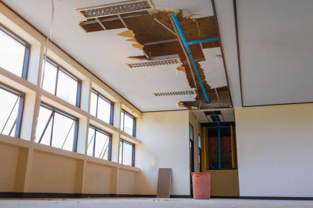 Best Ceiling water damage repair  in Sac City, IA