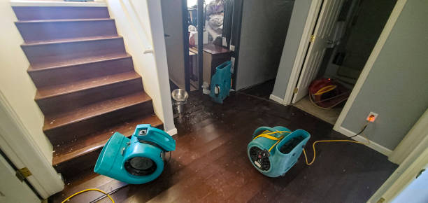 Best Water damage repair service  in Sac City, IA