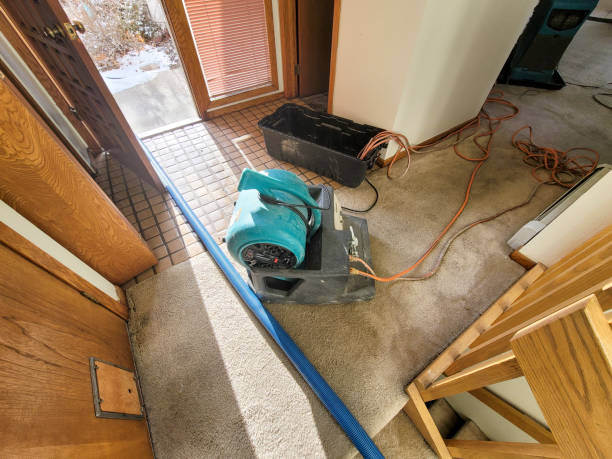 Best Sewage cleanup and water damage restoration  in Sac City, IA