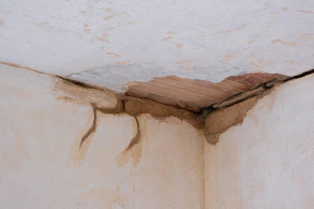 Best Water damage restoration cost  in Sac City, IA