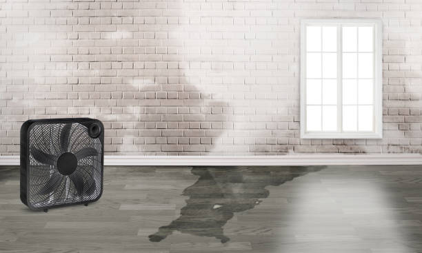 Best Flood restoration services  in Sac City, IA
