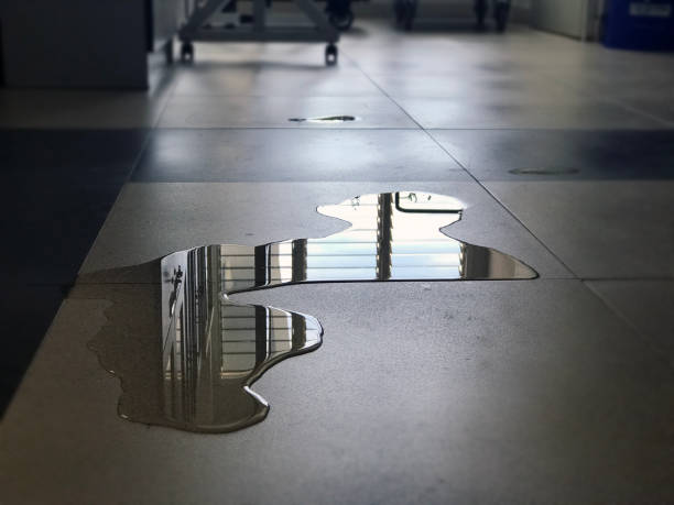 Best Water damage restoration cost  in Sac City, IA