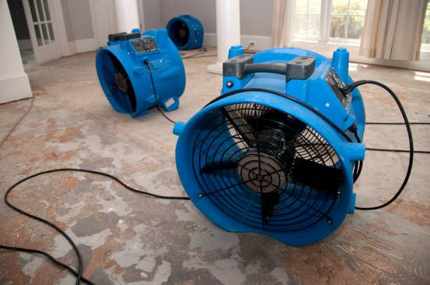 Trusted Sac City, IA Water damage restoration Experts