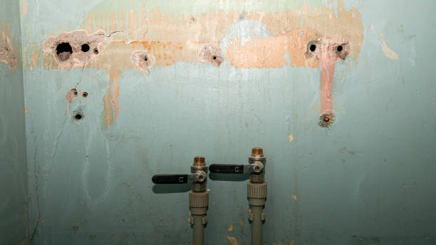 Best Flooded house restoration  in Sac City, IA